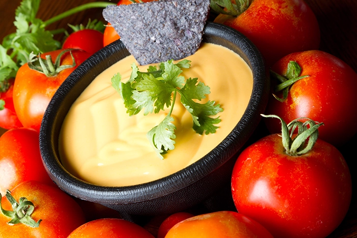Cheese dip decorated with cilantro and served in a deep plate with tomatoes around it.
