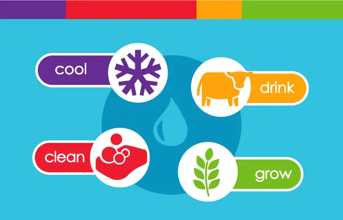 Infographic explaining how dairy farmers reuse water, such as drinking, cleaning, cooling, and growing crops.