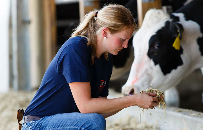 081619_Abbey-Copenhaver_cowcare_700x450