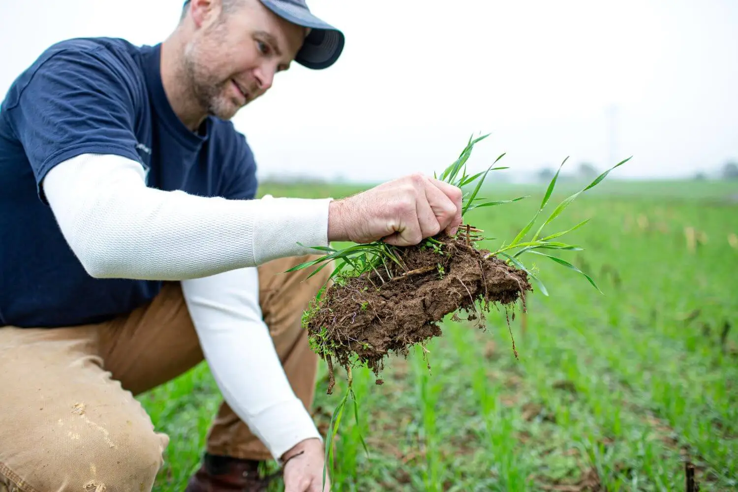 Dairy farmer Justin Risser planting crops to strengthen soil and conserve water at Meadow Vista Dairy.